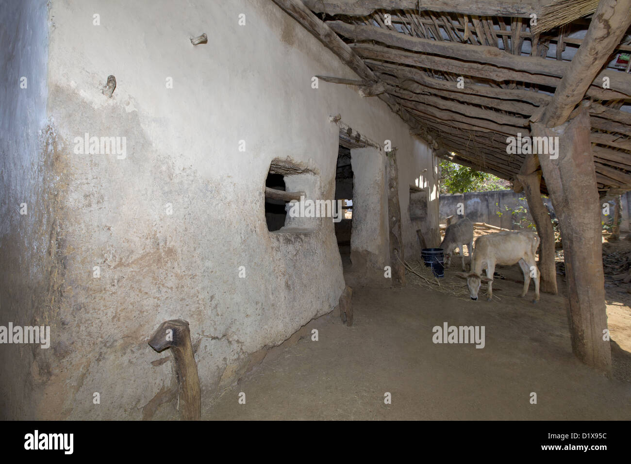 Viehstall außerhalb Hütte, Gond Stamm, Gadchiroli, Maharashtra, Indien. Stockfoto