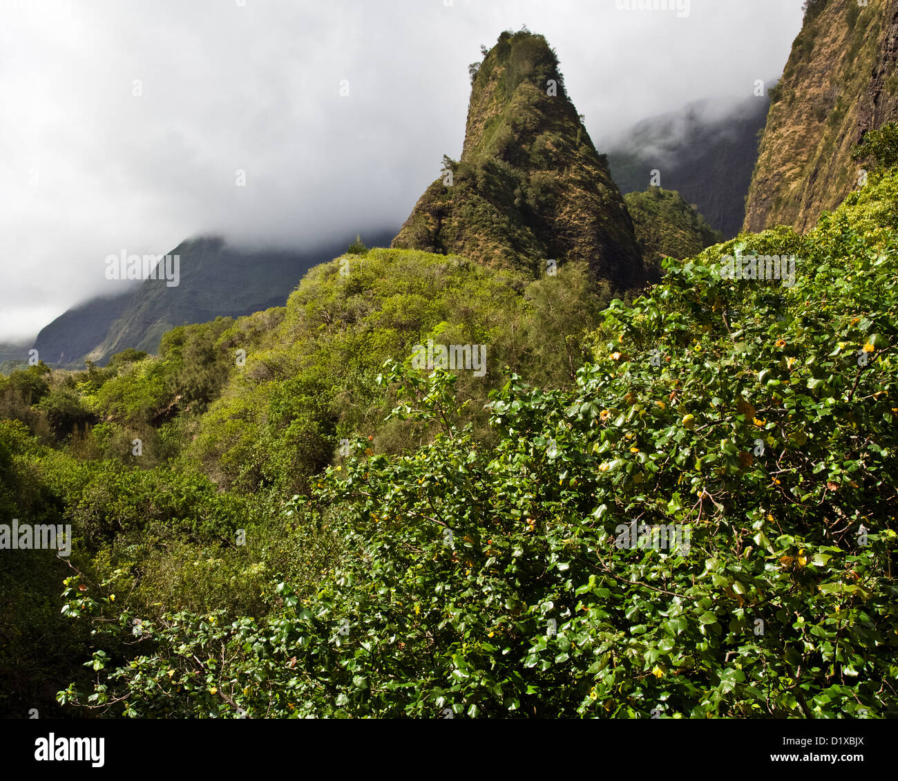 Mauis ' Iao Needle Stockfoto