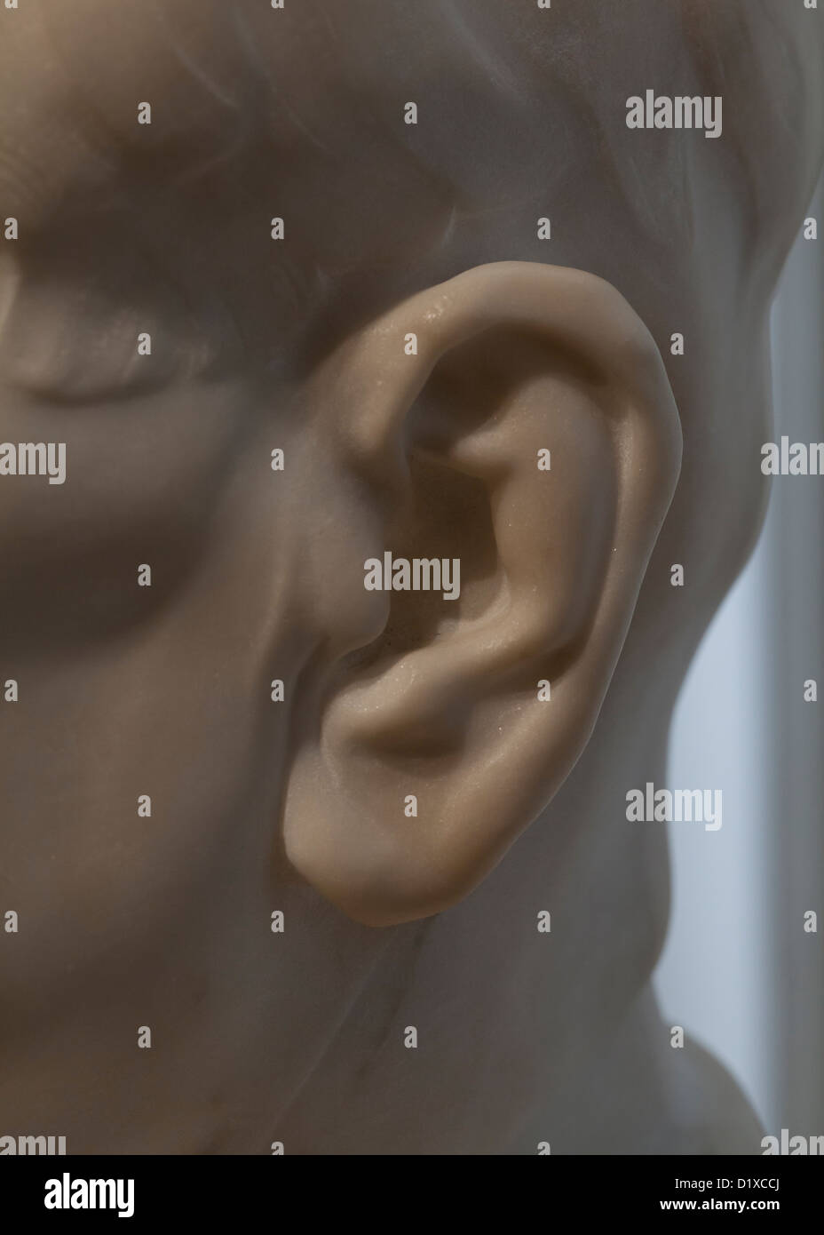 Linkes Ohr Detail der Marmorskulptur Stockfoto