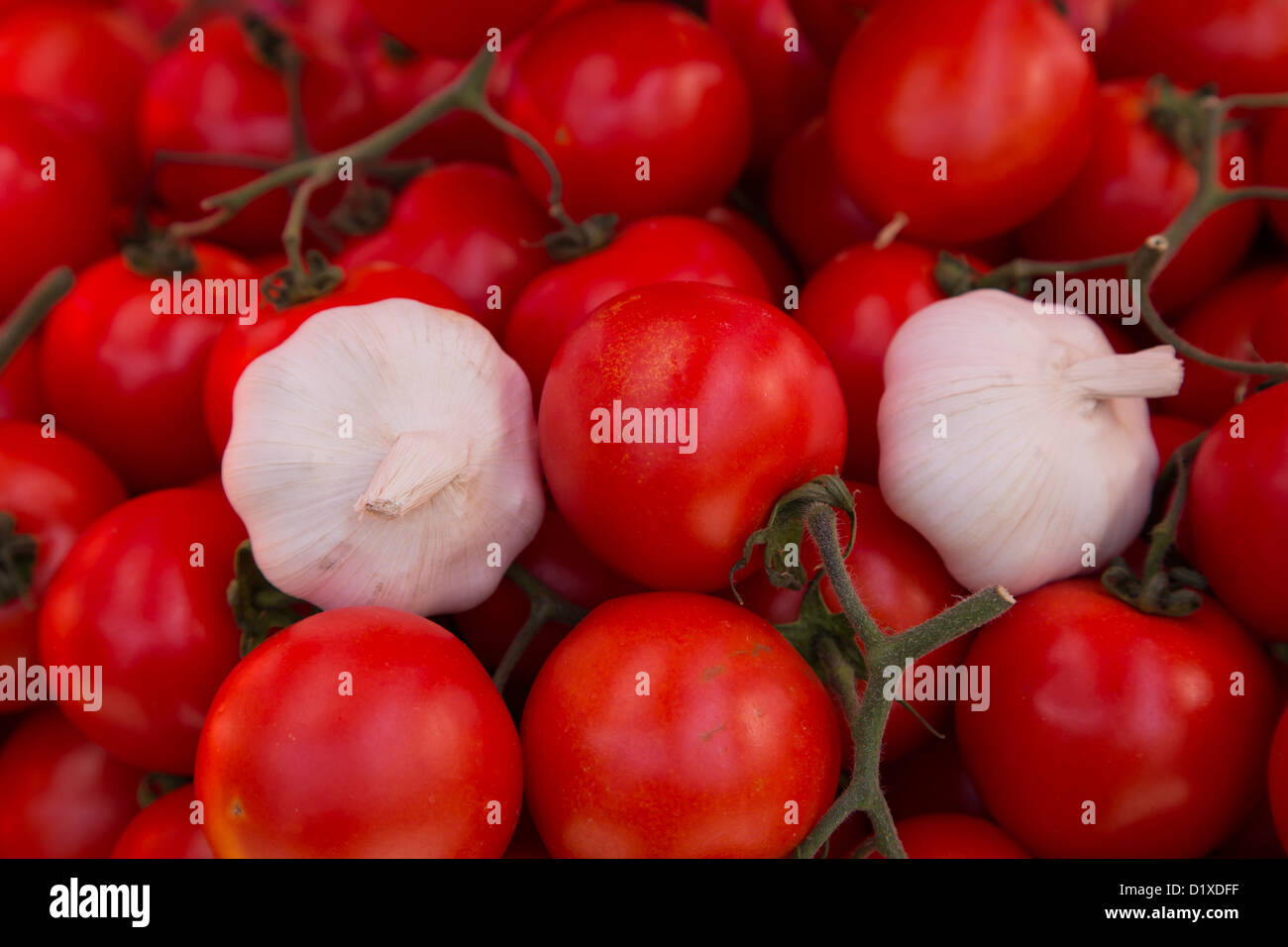 Tomaten und Knoblauch in der Porta Palazzo Markt in Turin Italien Stockfoto