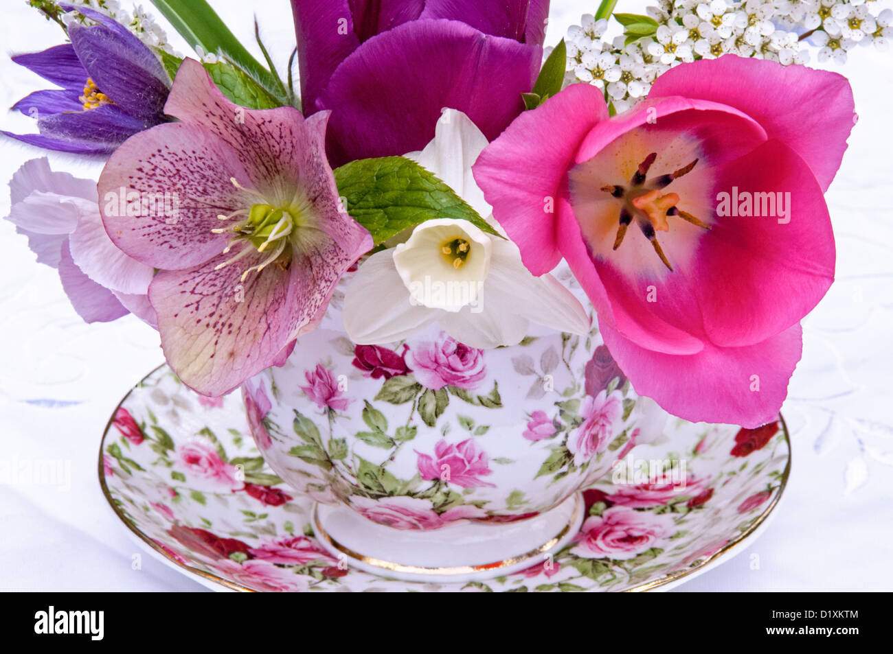 Eine Anordnung von Frühlingsblumen Stockfoto