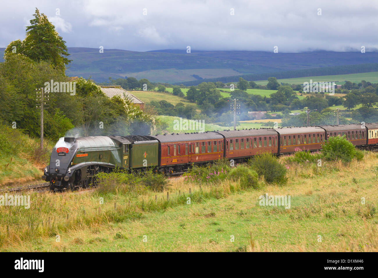Dampfzug durch die Sommer-Landschaft bewegt sich niederzulassen um Carlisle Railway. Stockfoto