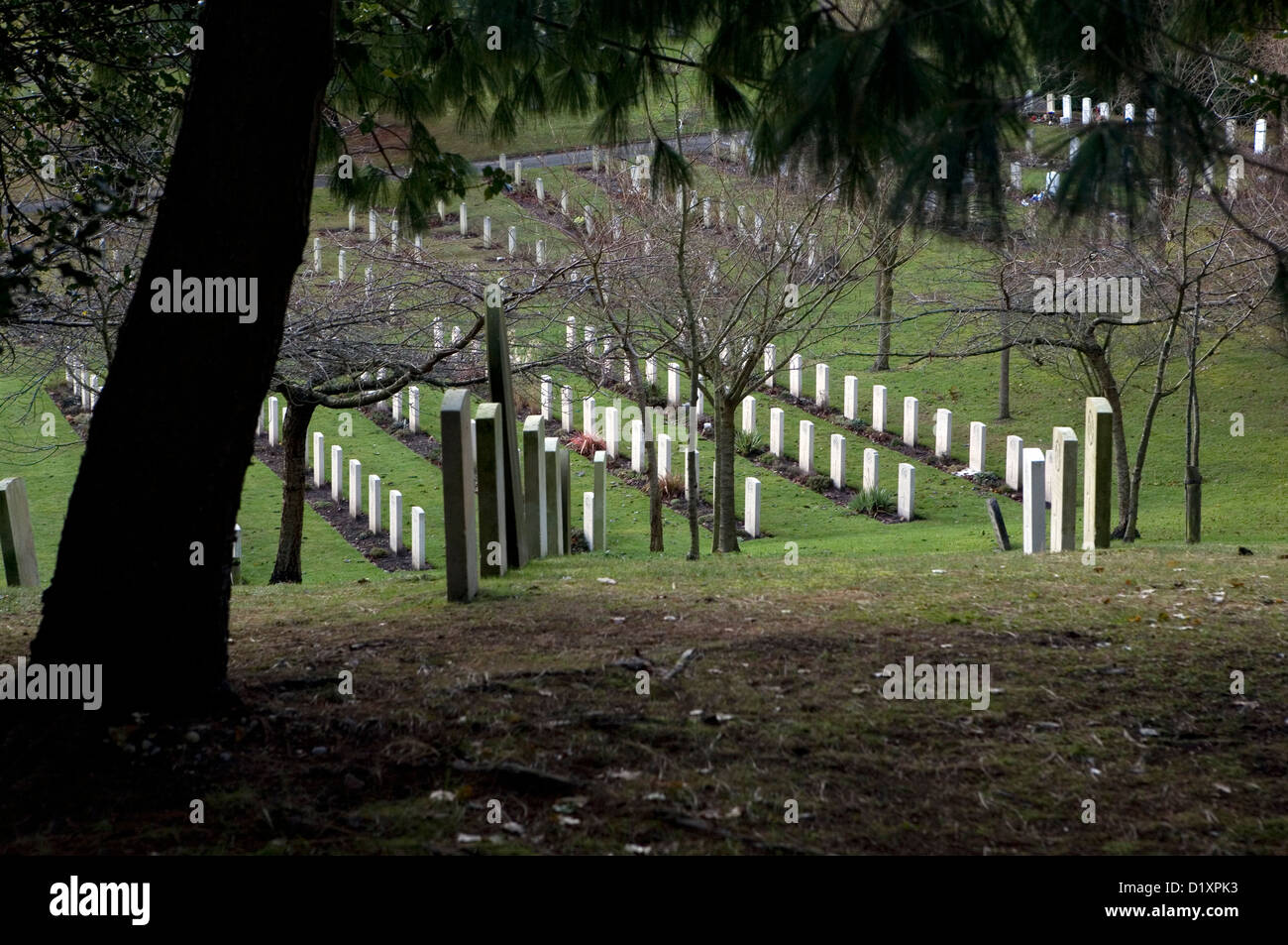 Die Gräber und Umgebung in Farnborough Soldatenfriedhof in Hampshire. Stockfoto