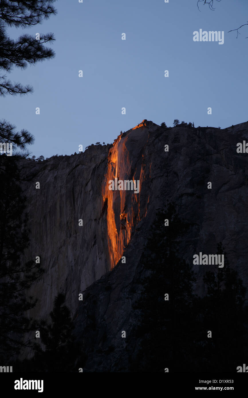 Schachtelhalm fallen El Capitan Yosemite-Nationalpark Stockfoto