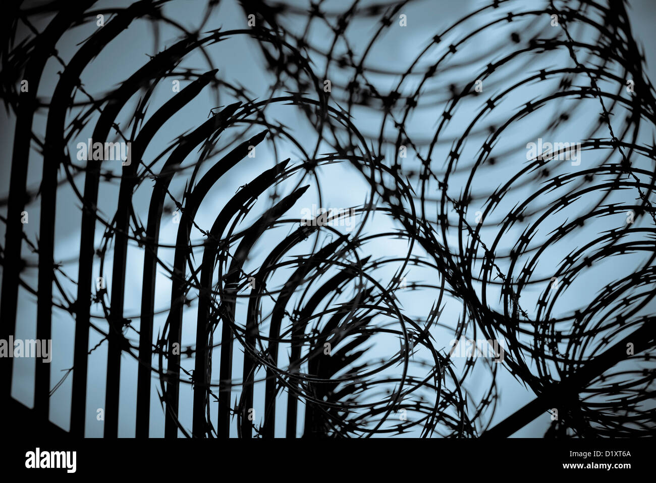 Stacheldraht Stockfoto