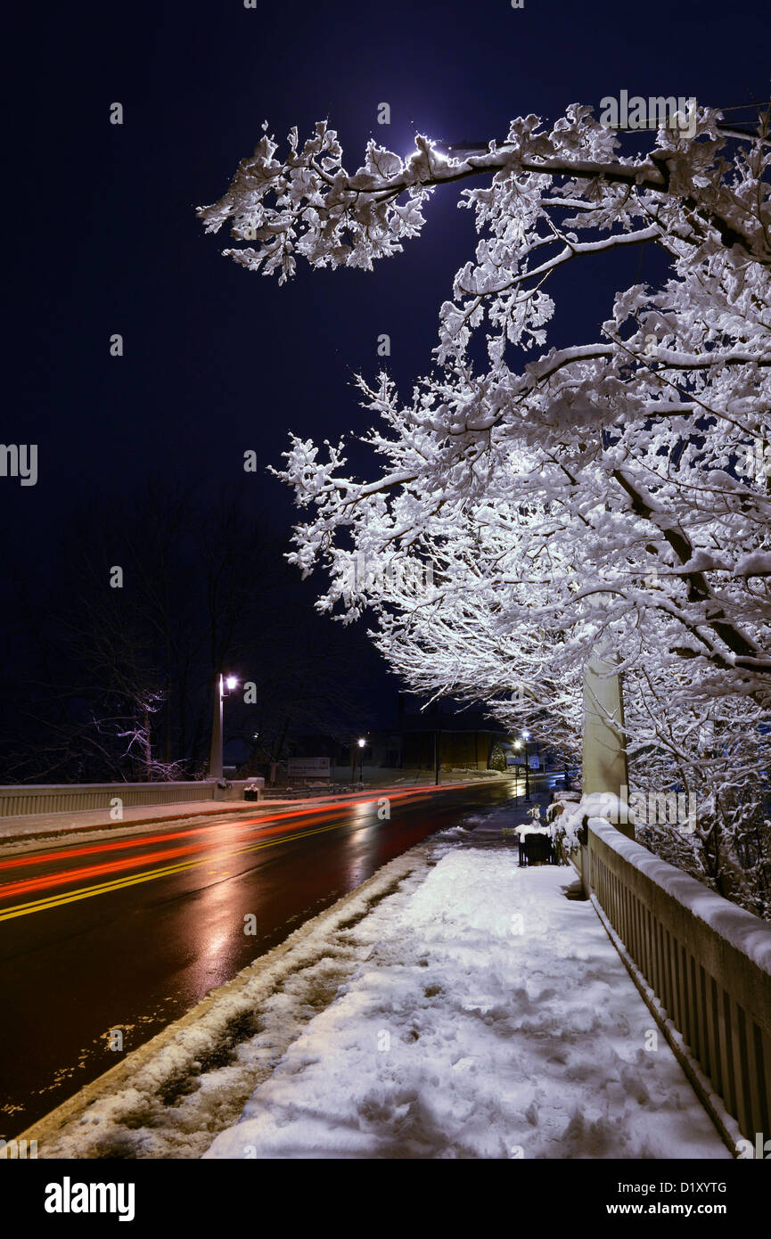 Schnee auf den Bäumen in der Nacht mit Autos fahren durch Stockfoto