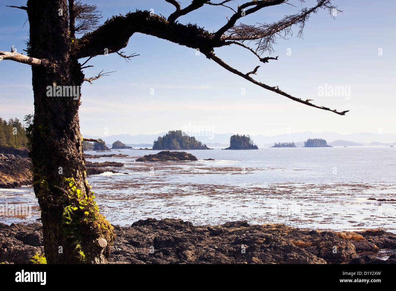 Gebrochene Inseln betrachtet aus der Wild Pacific Trail auf Vancouver Island, Ucluelet, Britisch-Kolumbien, Kanada. Stockfoto