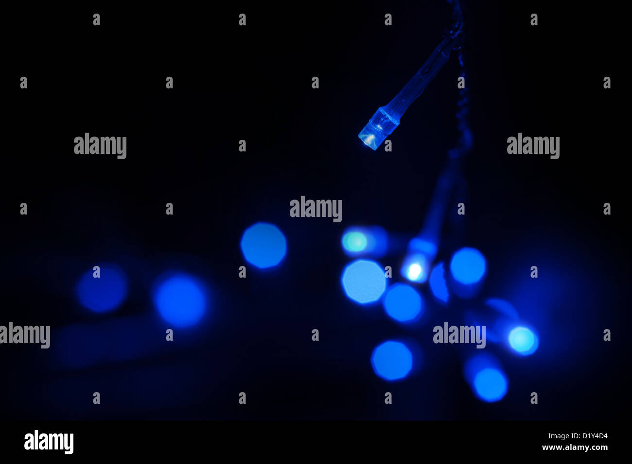 Blaue LED (Licht emittierende Dioden) Lichter Kranz auf schwarzem Hintergrund Stockfoto