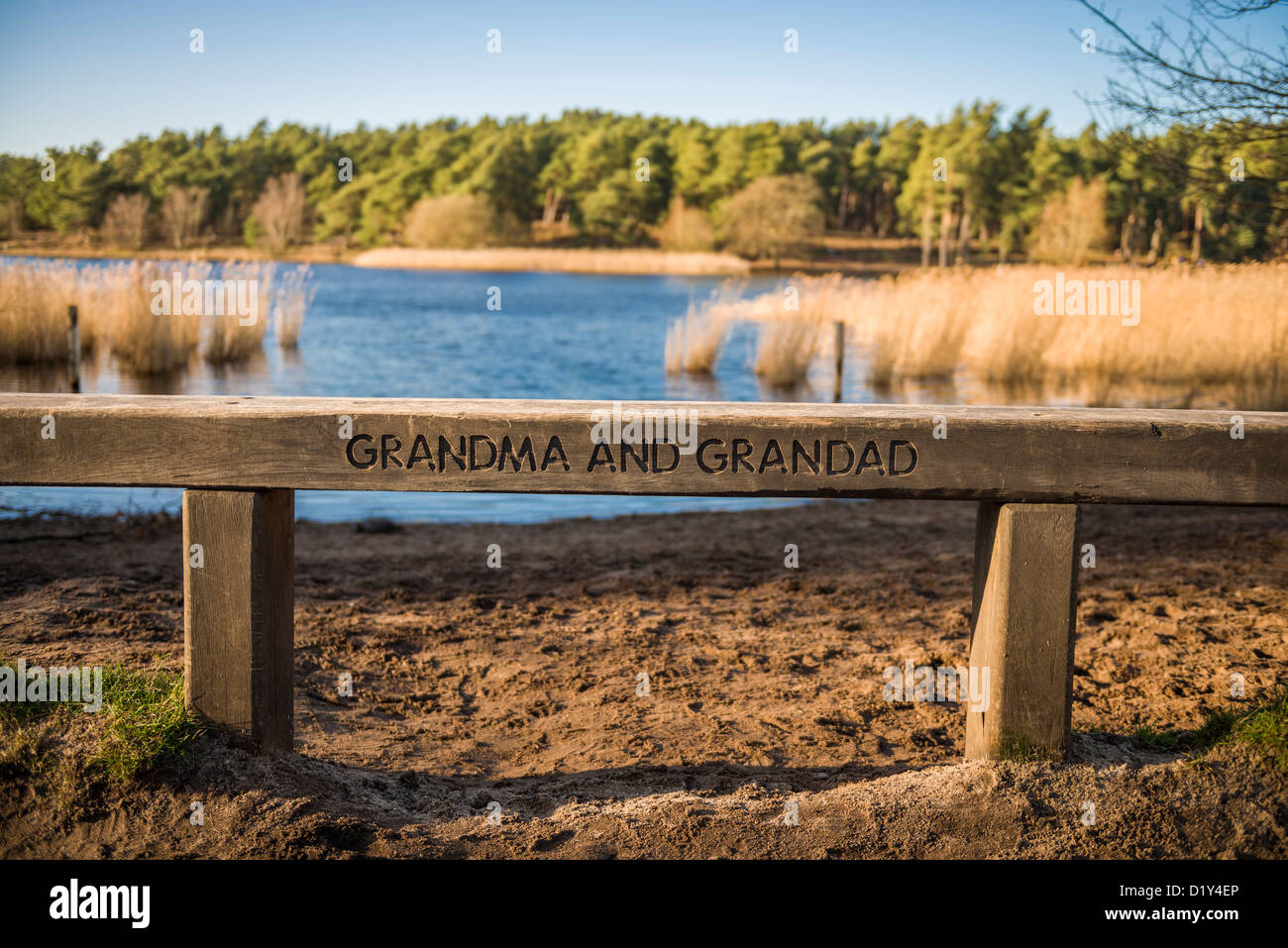 Blauen Himmel am 1. Januar 2013 bei Frensham Pond in der Nähe von Farnham, Surrey, UK Stockfoto