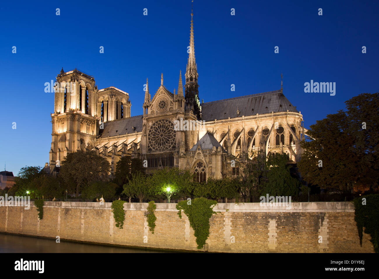 Notre Dame de Paris bei Nacht; La Cathédrale Notre-Dame de Paris Stockfoto