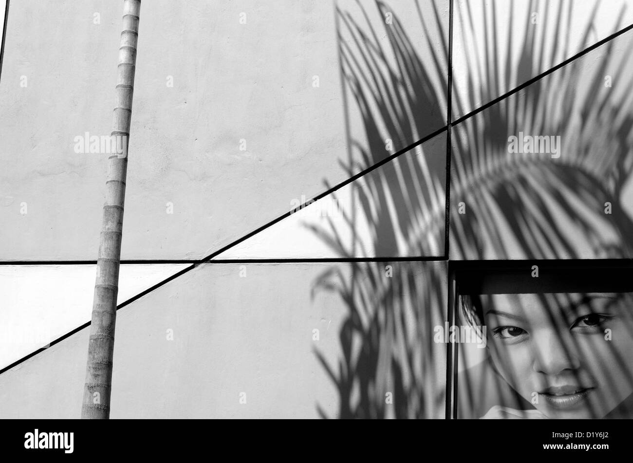 Wand-Werbung und Palm-Baum mit Schatten Stockfoto