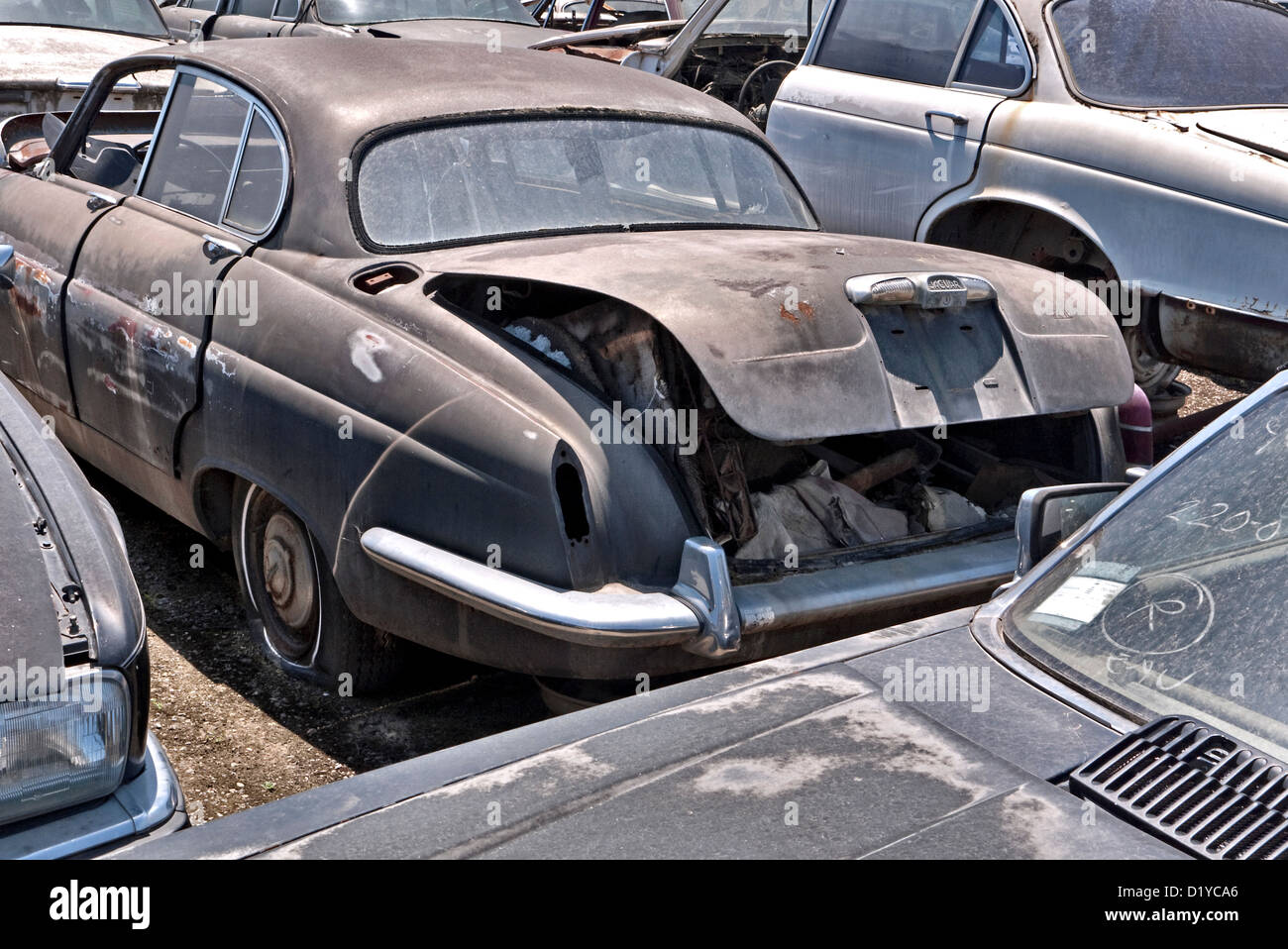 1960er Jahren Jaguare in einem Auto-Schrottplatz recycling Stockfoto