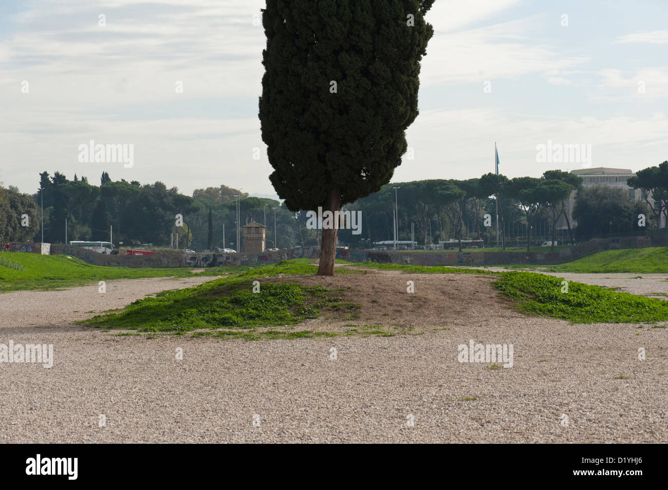 Blick auf den Circus Maximus, Rom, Italien. Stockfoto