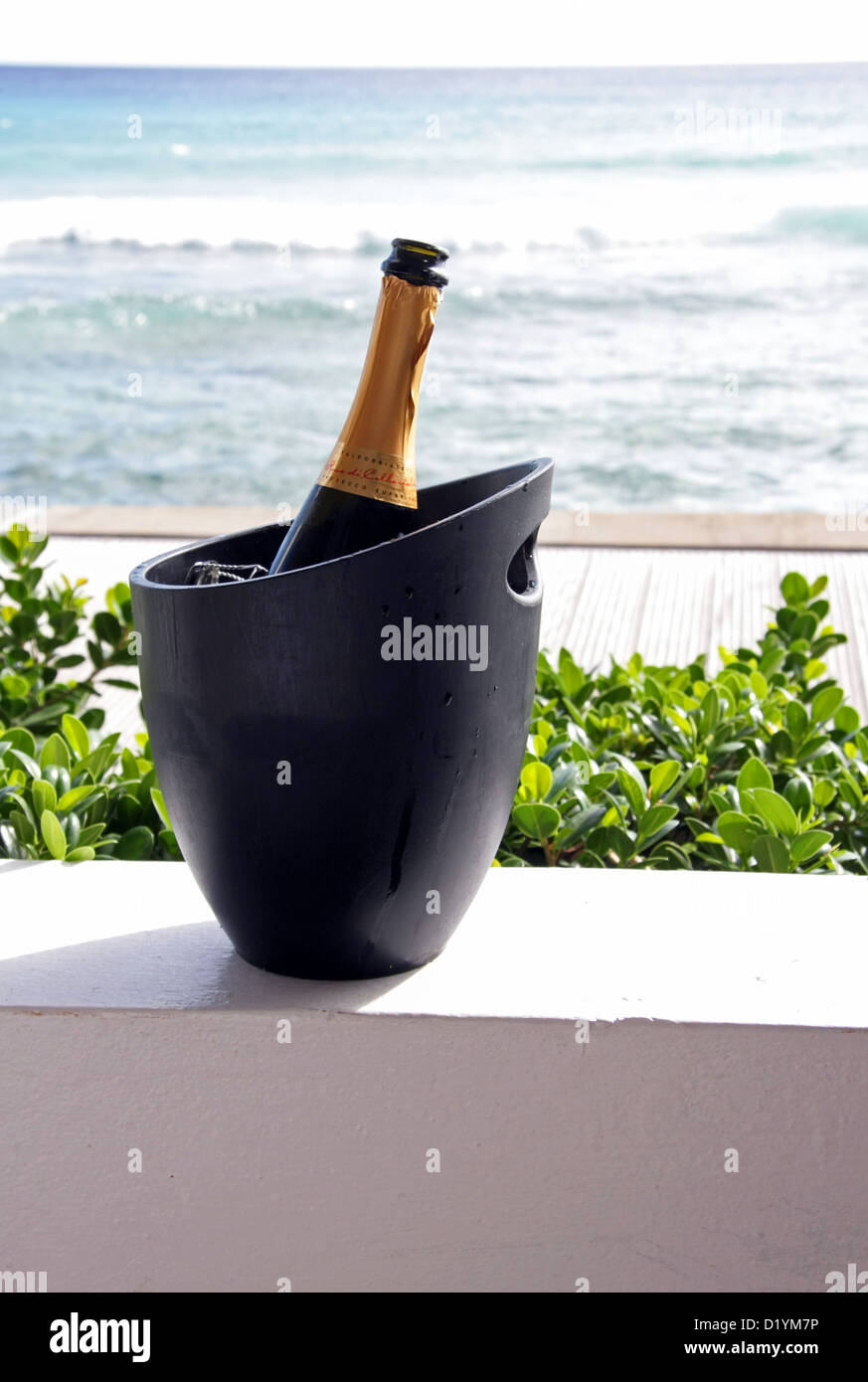 Flasche Champagner Kühlung in einem Eiskübel in Barbados in der Karibik Stockfoto