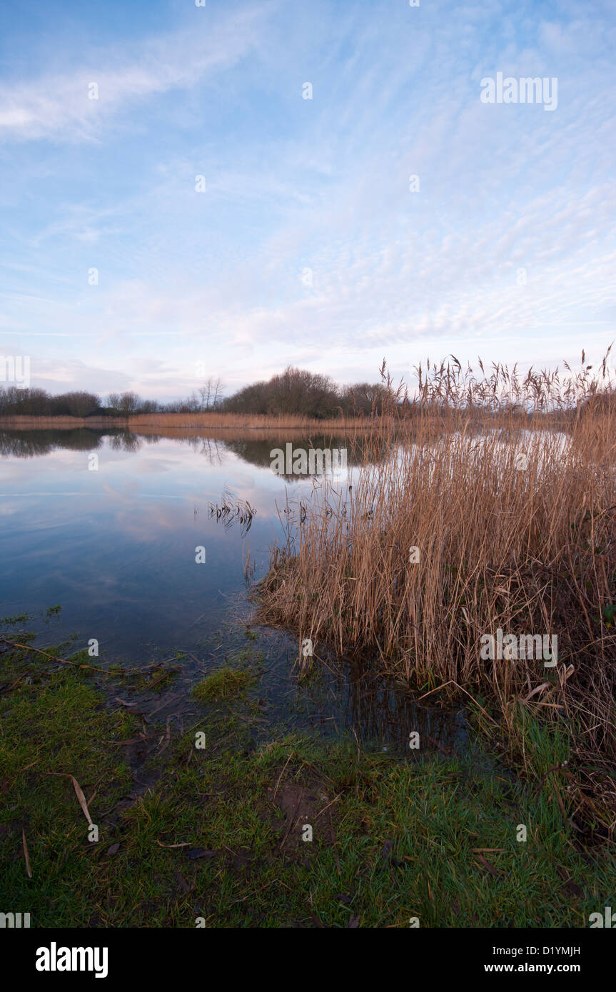 Ruhe und Beschaulichkeit an einem See mit Röhrichten an Roggen Harbour Nature Reserve East Sussex UK Stockfoto