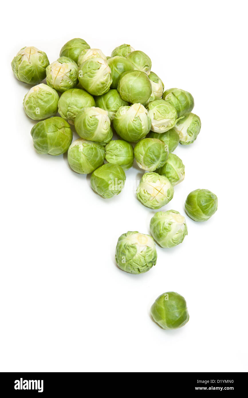 Rosenkohl, isoliert auf einem weißen Studio-Hintergrund. Stockfoto