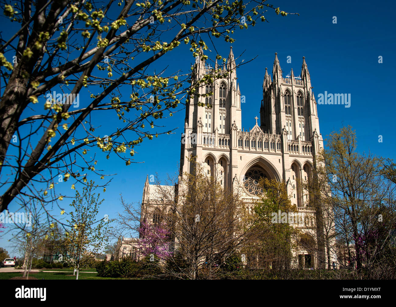 Außen an der Washington National Cathedral in Washington DC USA Stockfoto