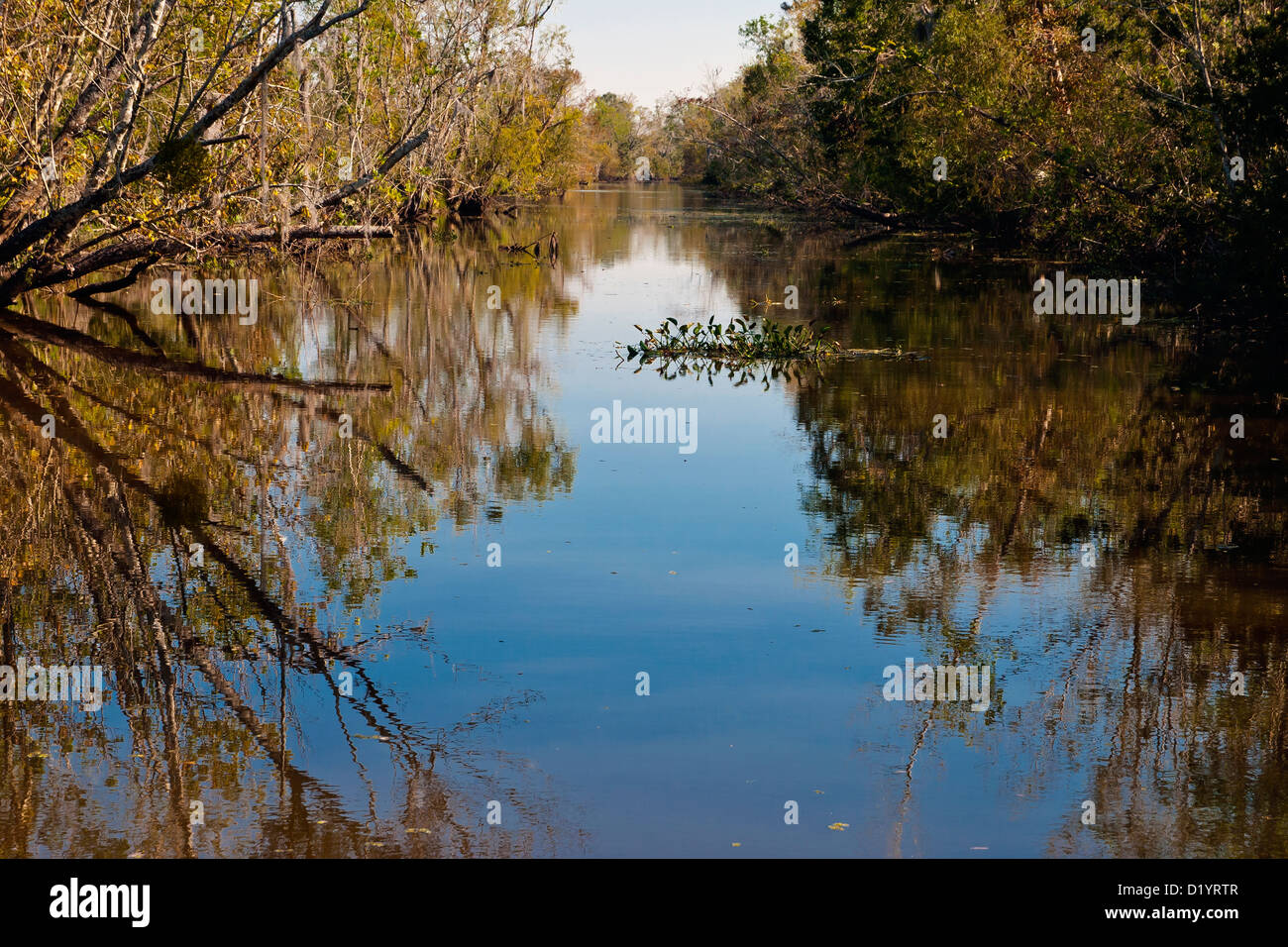 Jean Lafitte nationaler historischer Park und Konserve, Louisiana, USA, Nordamerika Stockfoto