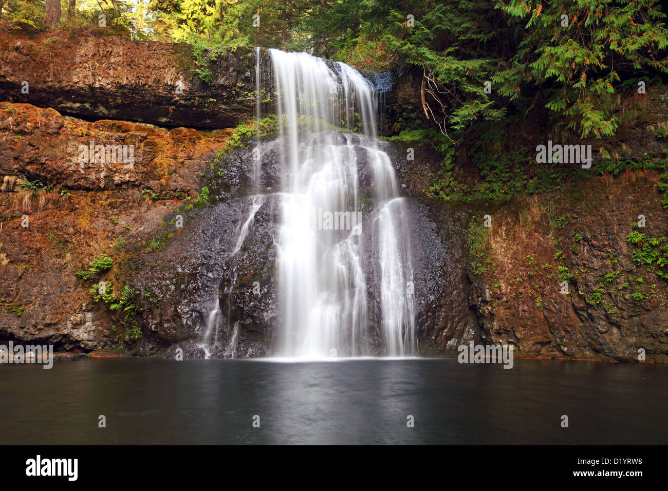 Oberen Nord Herbst, Silver Falls State Park, Oestl. Salem, OR, USA Stockfoto