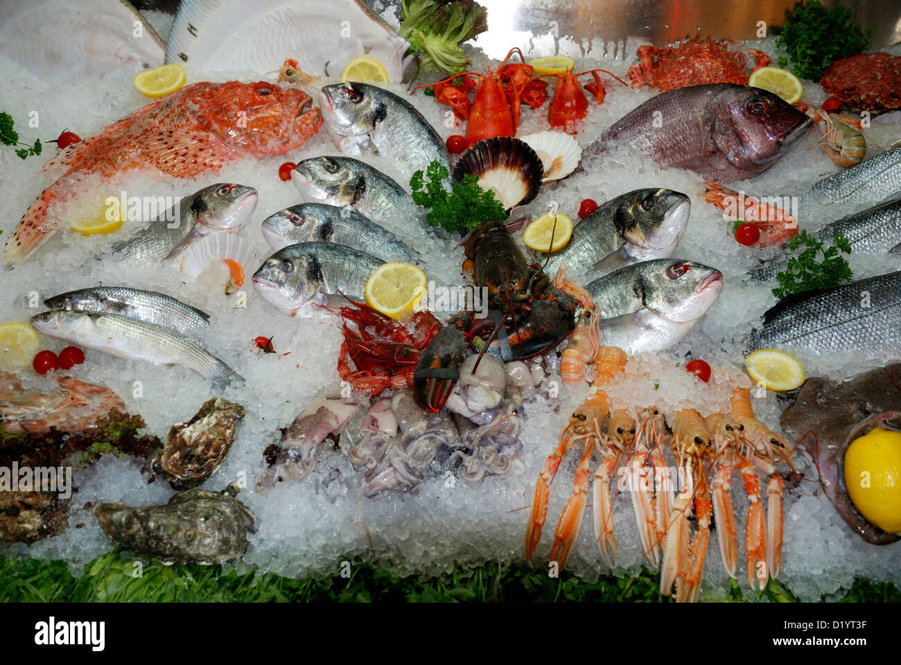 Fisch und Meeresfrüchte aus der Adria auf einem Markt in Venedig. Stockfoto