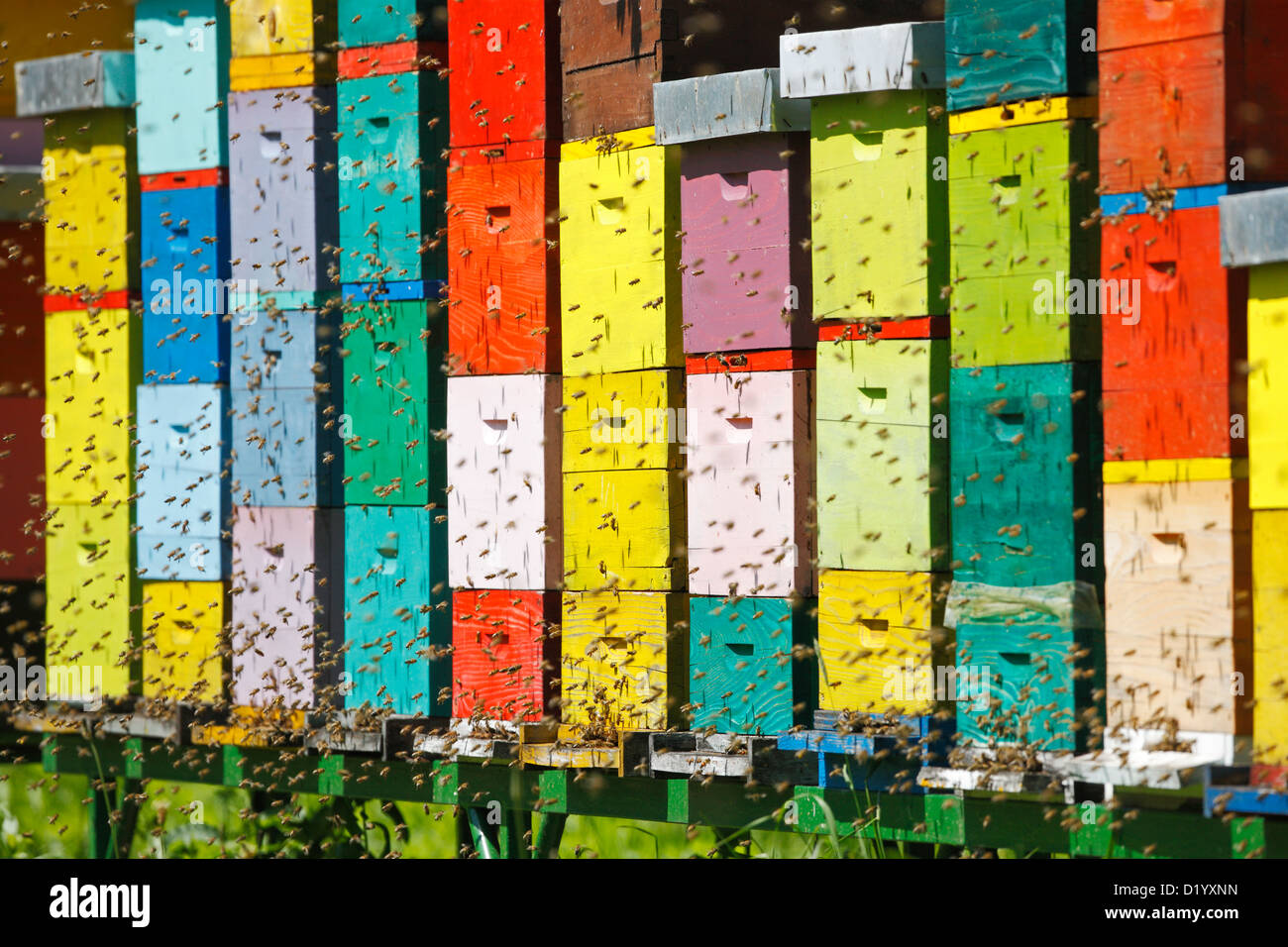 Bienenstock Stockfoto