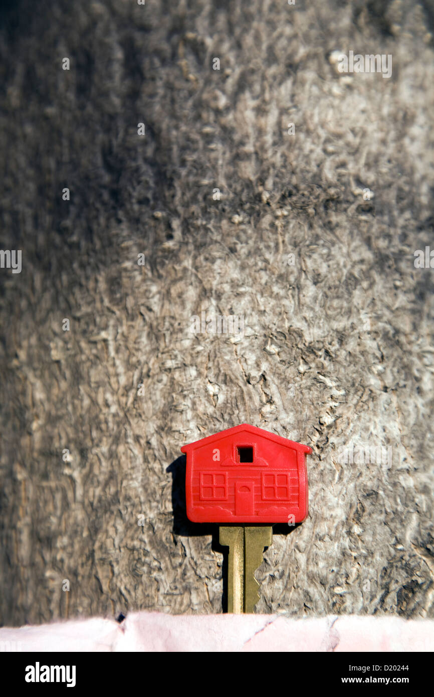 Verlorene Hausschlüssel mit Klebeband an Baum Stockfoto