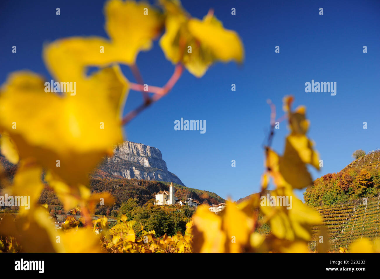Weinberge in herbstlichen Farben mit Kirche und Felswand im Hintergrund, Eppan, Südtirol, Italien, Europa Stockfoto