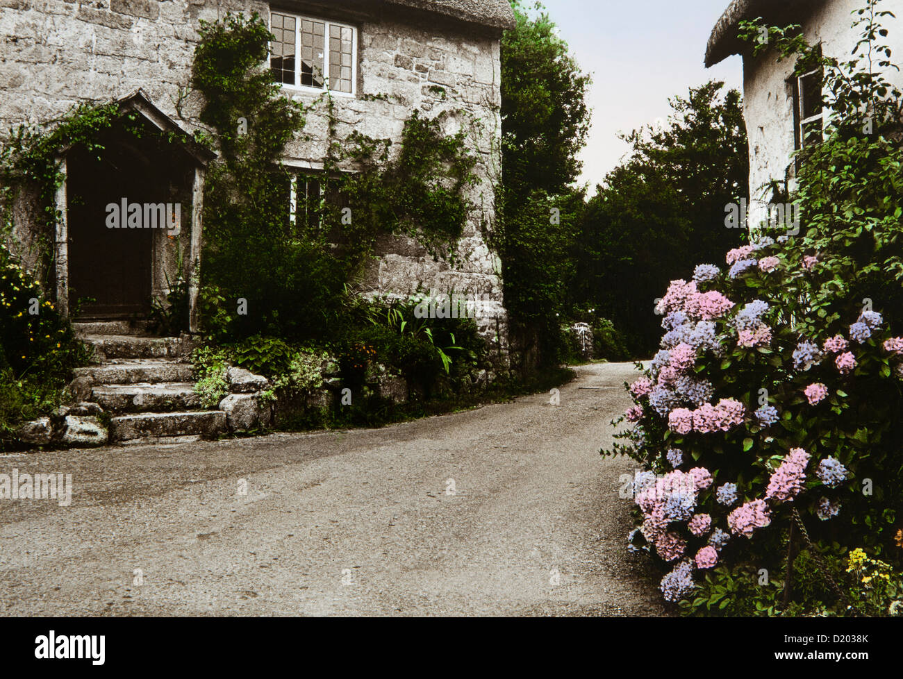 Bewachsene Fassaden der Häuser und Blumen, Devon, Südengland, Großbritannien, Europa Stockfoto