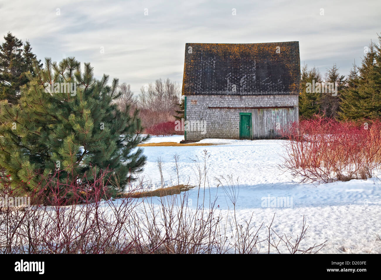 Eine kleine rustikale alte Scheune in einem ländlichen Winterlandschaft im westlichen Prince Edward Island, Kanada. Stockfoto