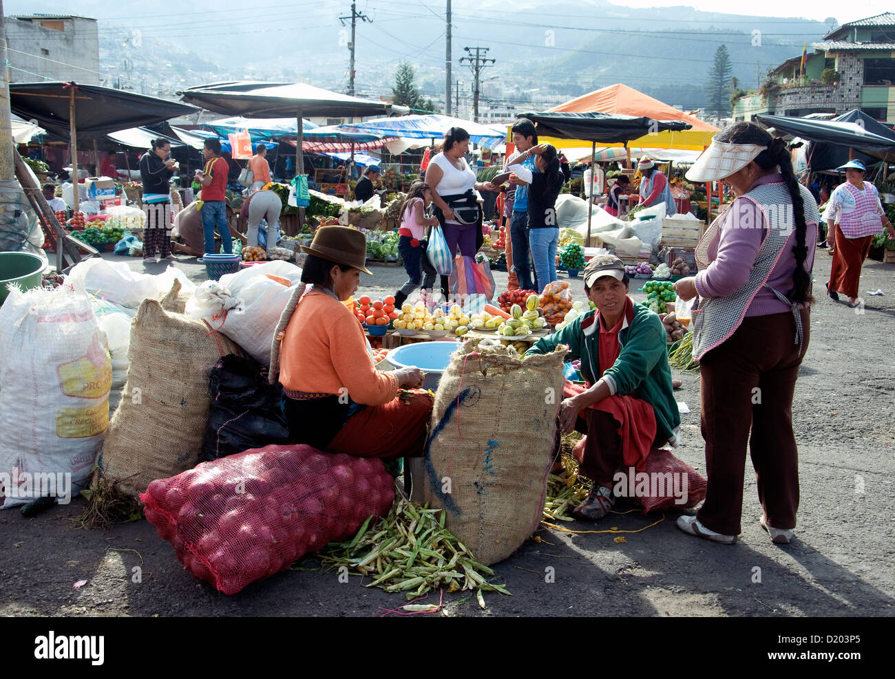 Ein städtischer Markt, La Ofelia, eines Quitos 32 Stadt Pfarreien zeigt reichliche Ernte eine blühende Landwirtschaft Stockfoto