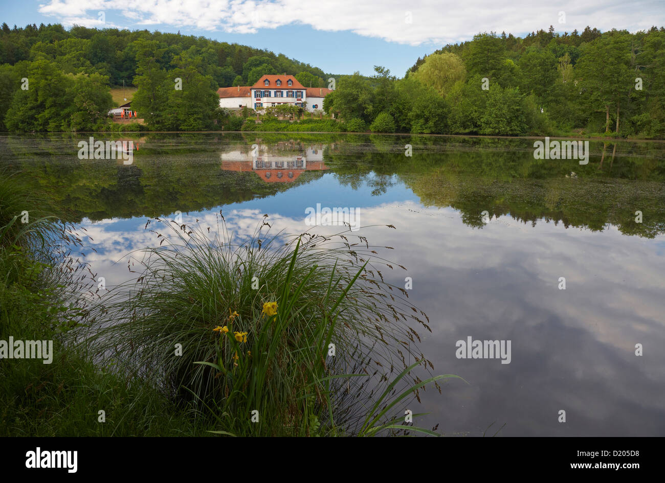 Annahof Hotel Niederwuerzbach Teich, Niederwuerzbach, Bliesgau, Saarland, Deutschland, Europa Stockfoto