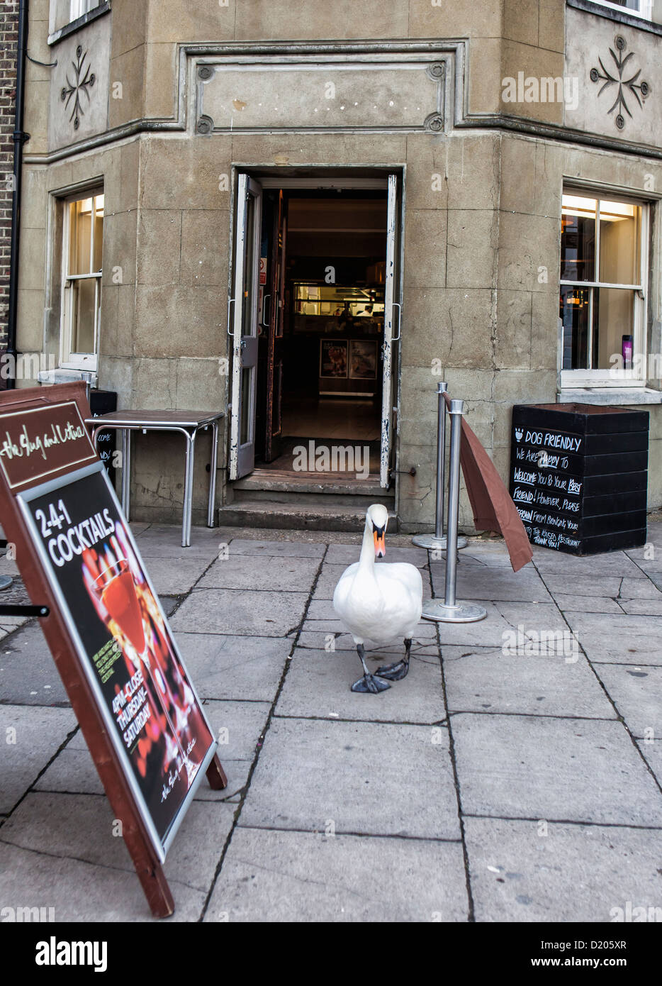 Mute Swan vor "Slug und Salat" Pub - Richmond, Surrey Stockfoto