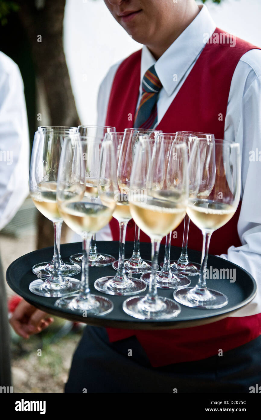 Kellnerin mit einem Tablett voller weißer Wein, Wein Region, Poysdorf, Niederösterreich, Österreich Stockfoto