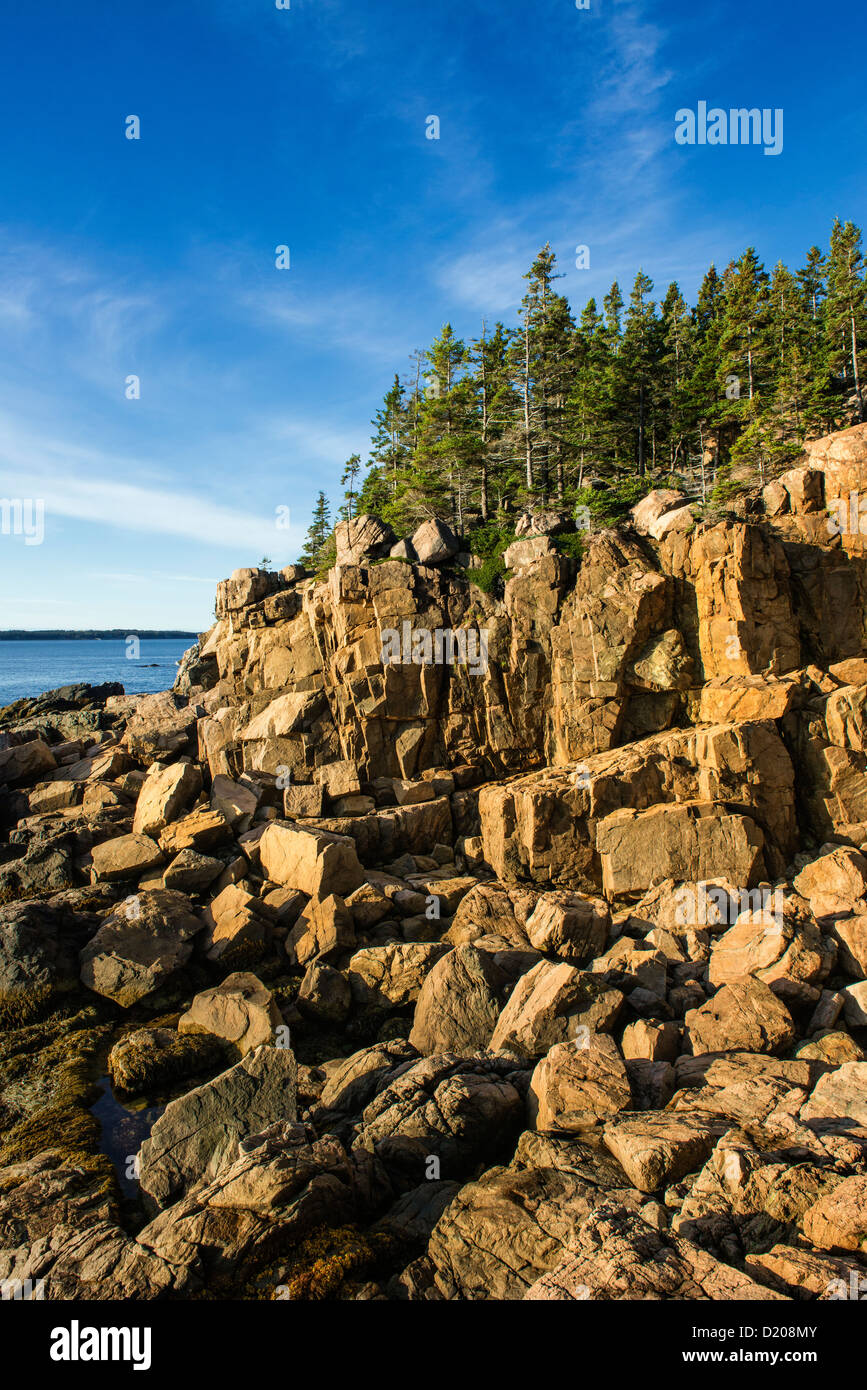 Küsten Seestück, Acadia National Park, Maine, USA Stockfoto
