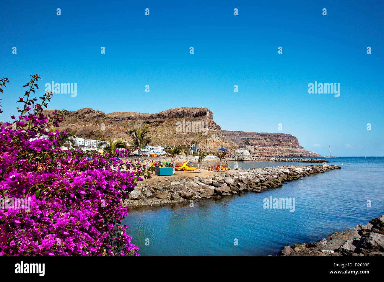 Blumen an der Küste unter blauem Himmel, Puerto de Mogan, Gran Canaria, Kanarische Inseln, Spanien, Europa Stockfoto