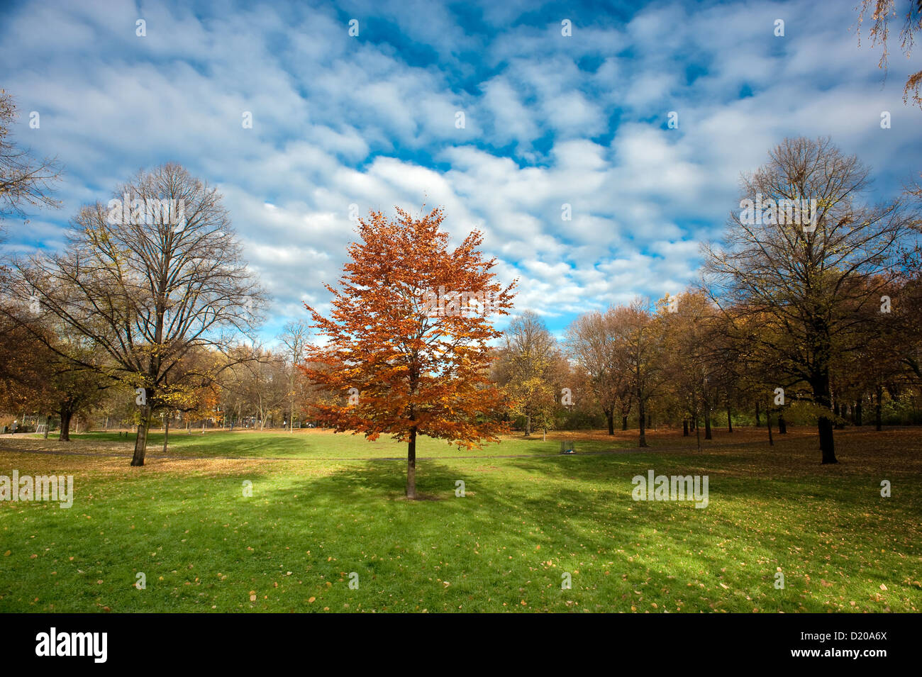 Berlin, Deutschland, Herbst im Friedrichshain park Stockfoto
