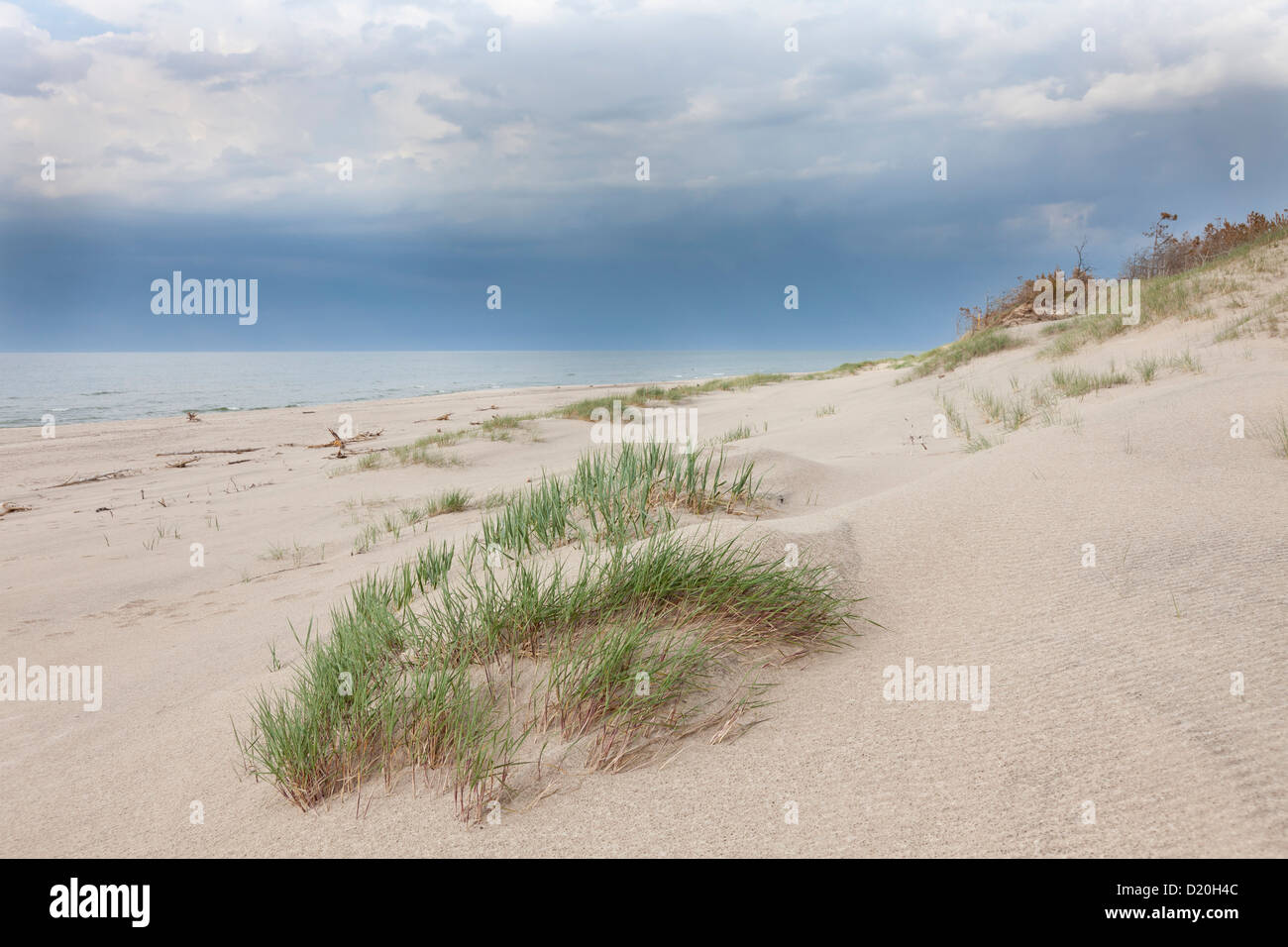 Dünen von Leba mit Regenwolken über der Ostsee, UNESCO-Biosphärenreservat, Slowinski-Nationalpark, polnische Ostsee c Stockfoto