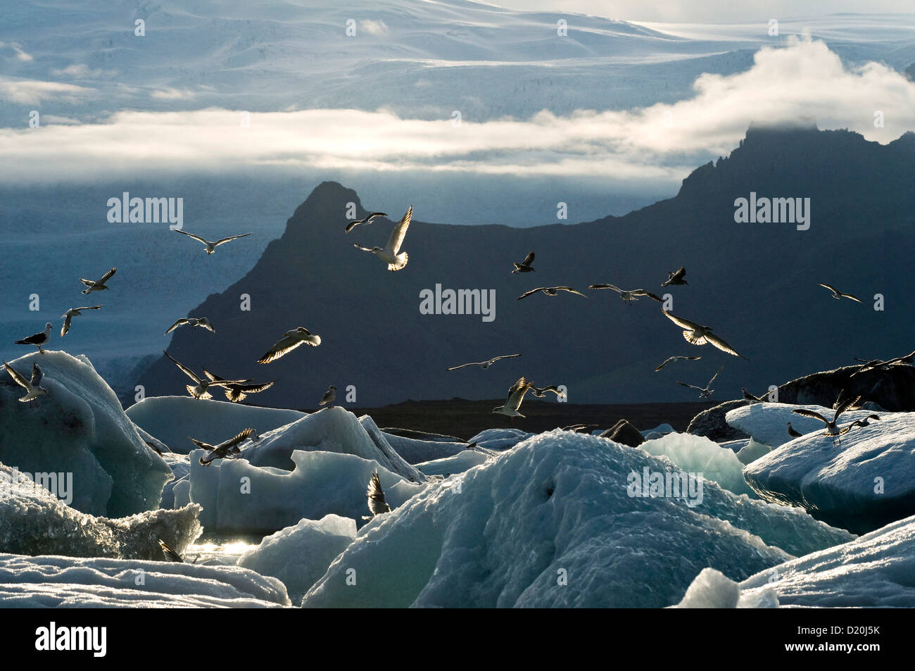 Jökulsárlón Gletscher See, Island, Skandinavien, Europa Stockfoto