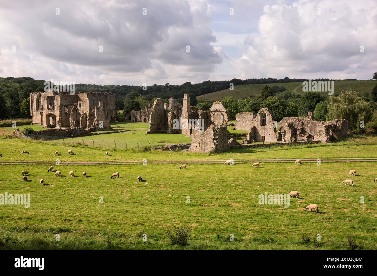 Easby Abbey in der Nähe von Richmond, North Yorkshire Stockfoto