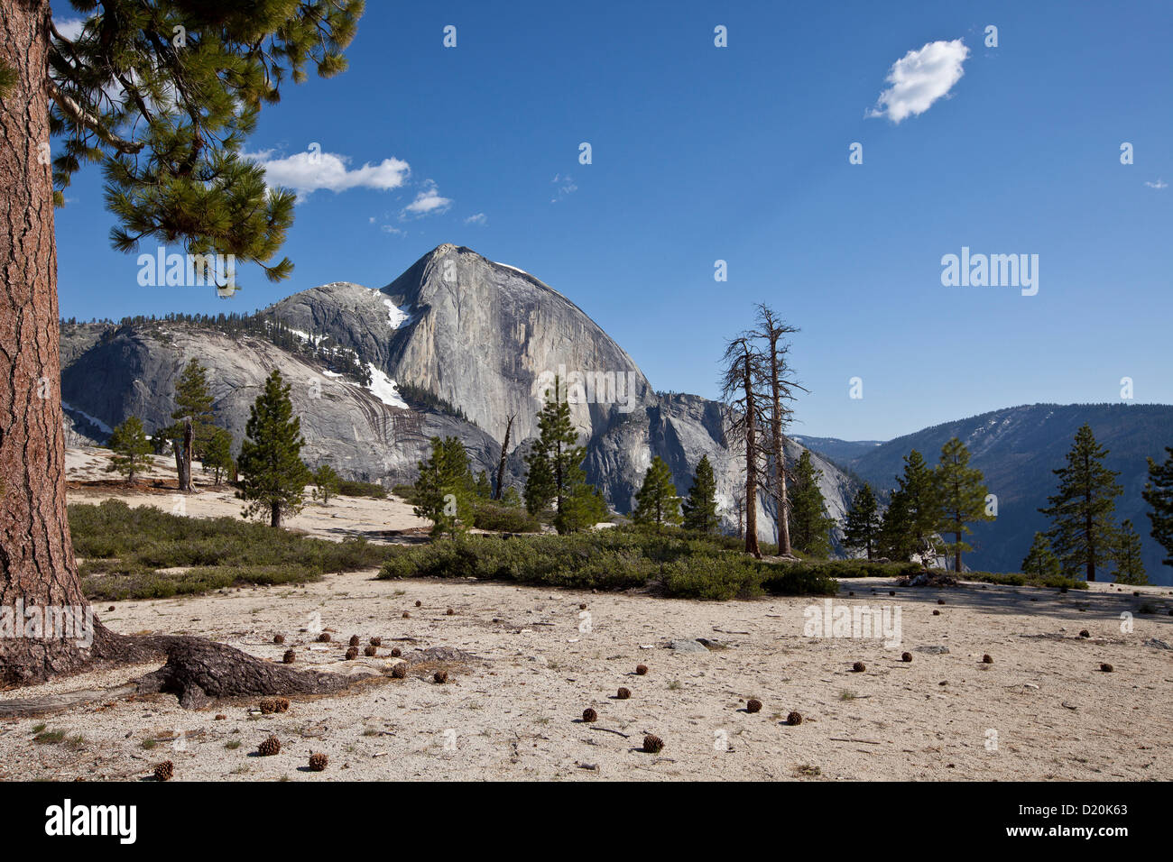 Blick auf Half Dome Mountain, Yosemite-Nationalpark, Kalifornien, USA, Amerika Stockfoto