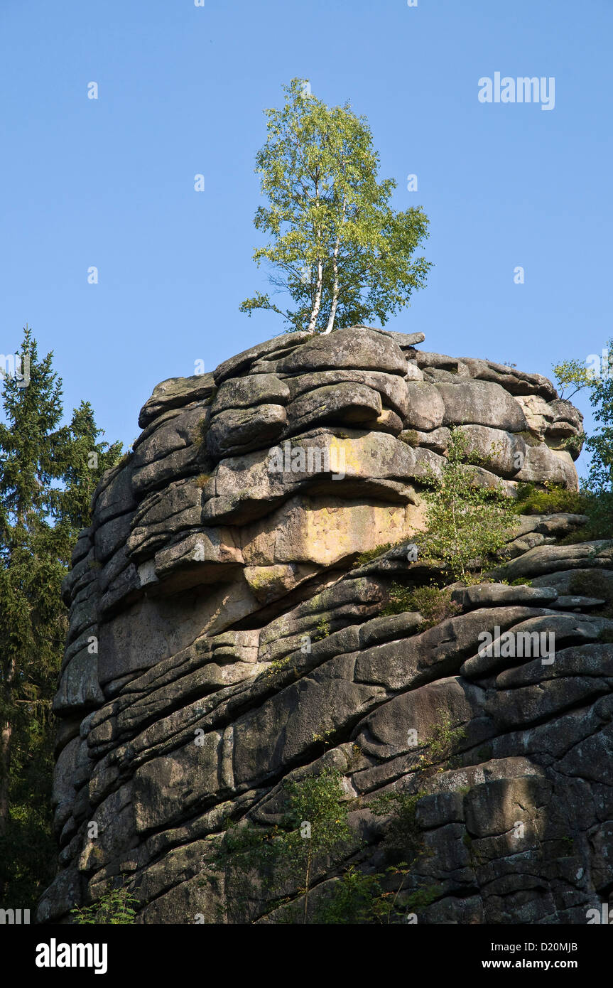 Rock, Feuerstein, Schierke, Harz, Sachsen-Anhalt, Deutschland Stockfoto