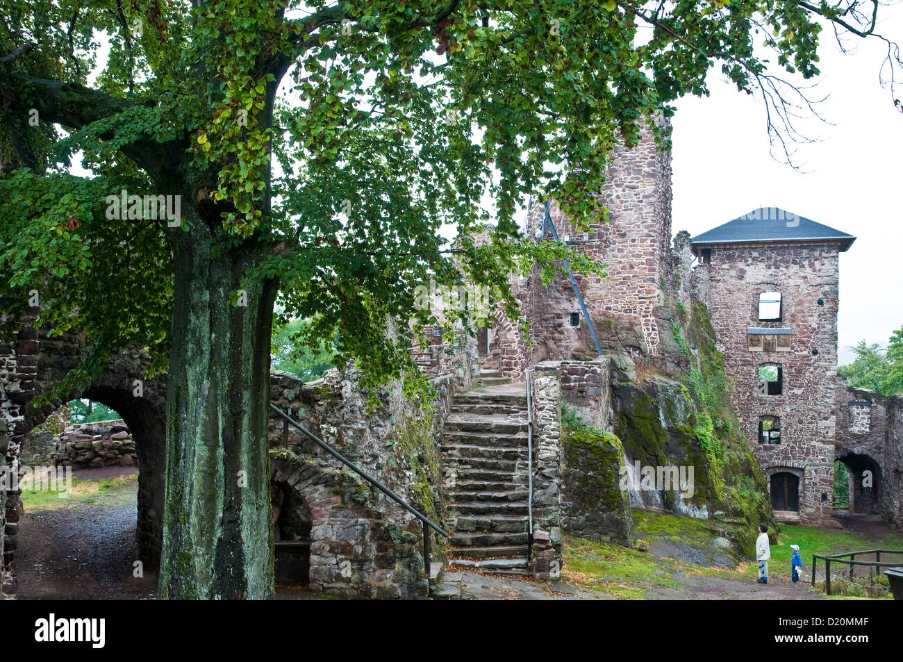 Burg Hohnstein, Neustadt, Harz, Thüringen, Deutschland Stockfoto