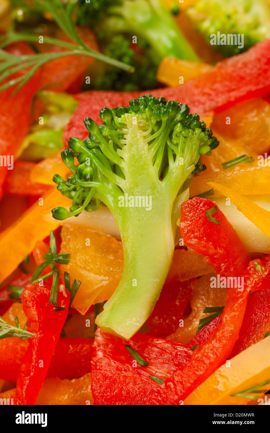 rote, gelbe und orange Paprika, Brokkoli und Fenchel Salat oder Stängel Brokkoli auf Salat Hintergrundfarbe Stockfoto