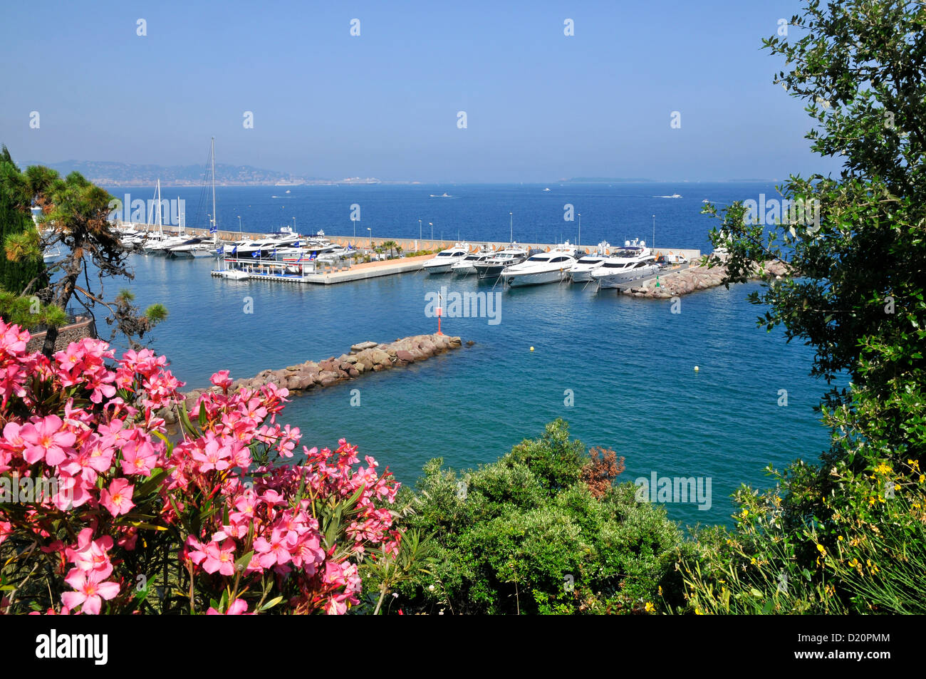 Hafen von La Rague in Frankreich, Departement Alpes-Maritimes, mit rosa Oleander Blumen im Vordergrund Stockfoto
