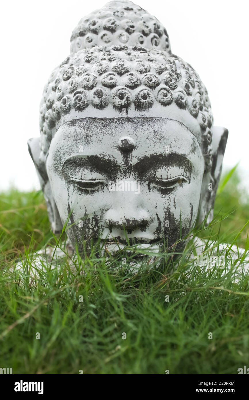 Stein Buddha Deko Büste in Gartengras Stockfoto