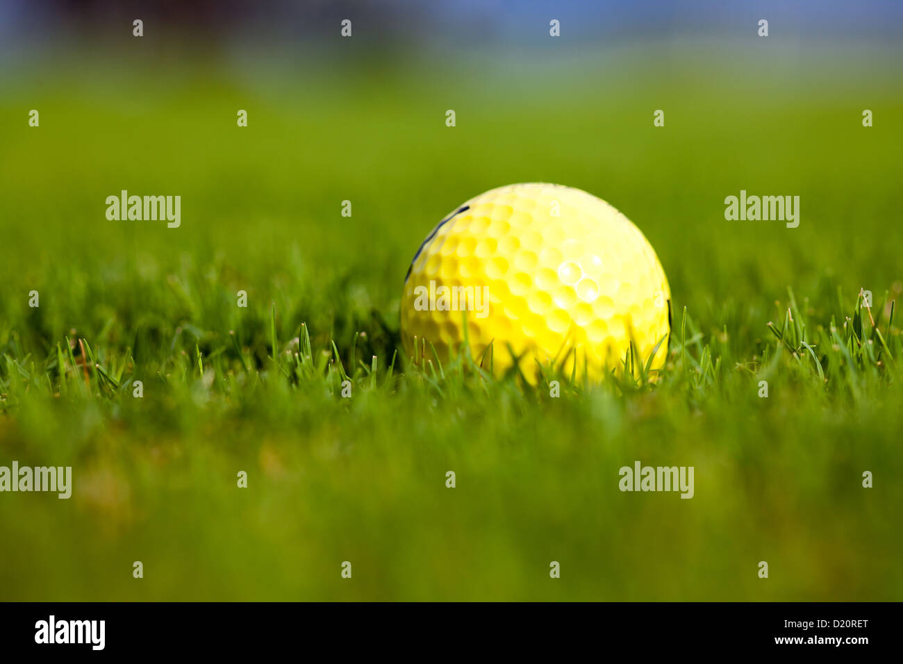 Gelbe Kugel für einen Golf auf einem grünen Rasen Stockfoto