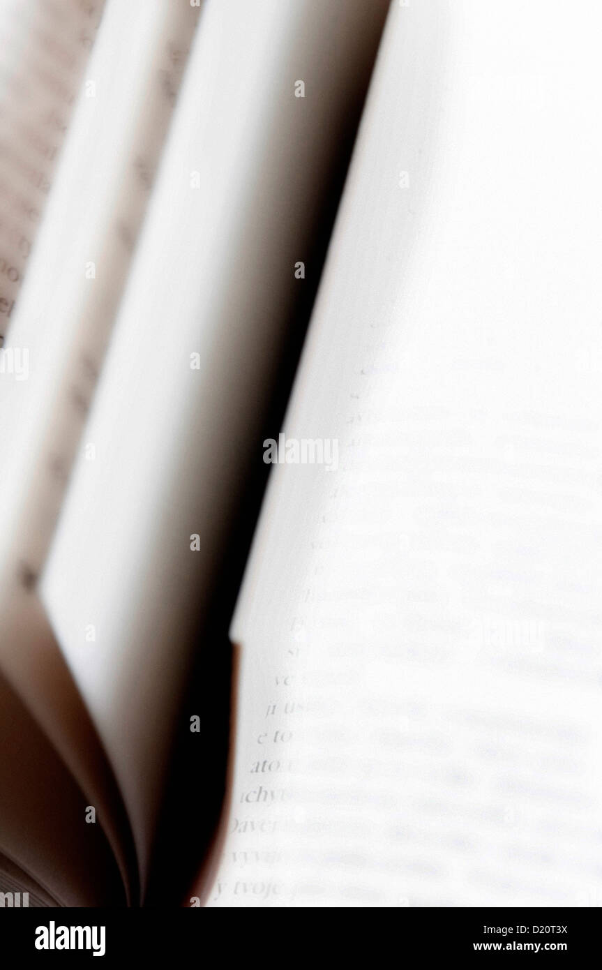 Seiten von einem Buch spiegeln Stockfoto