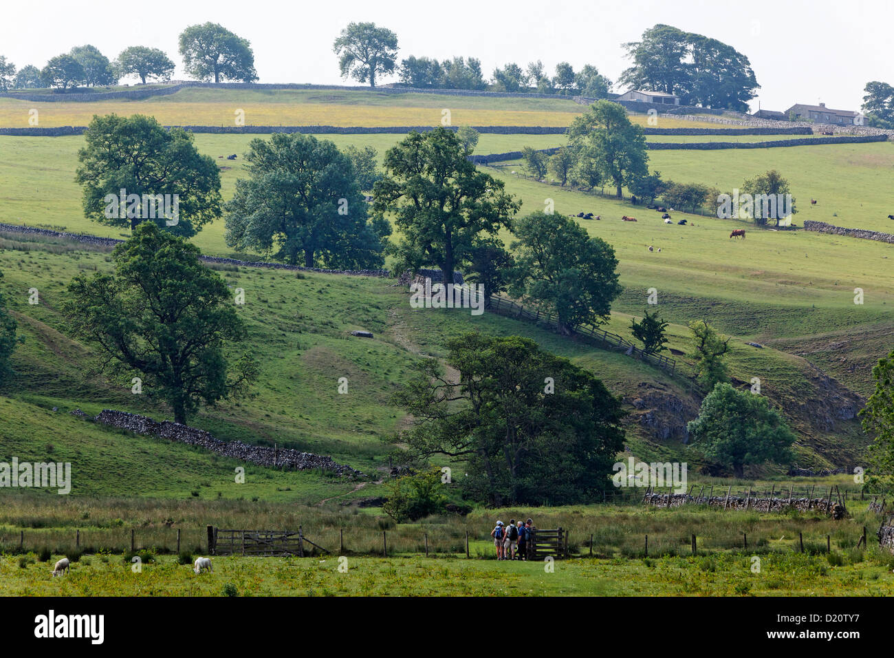 Idyllische Landschaft am Yorkshire Dales National Park, Yorkshire Dales, Yorkshire, England, Großbritannien, Europa Stockfoto