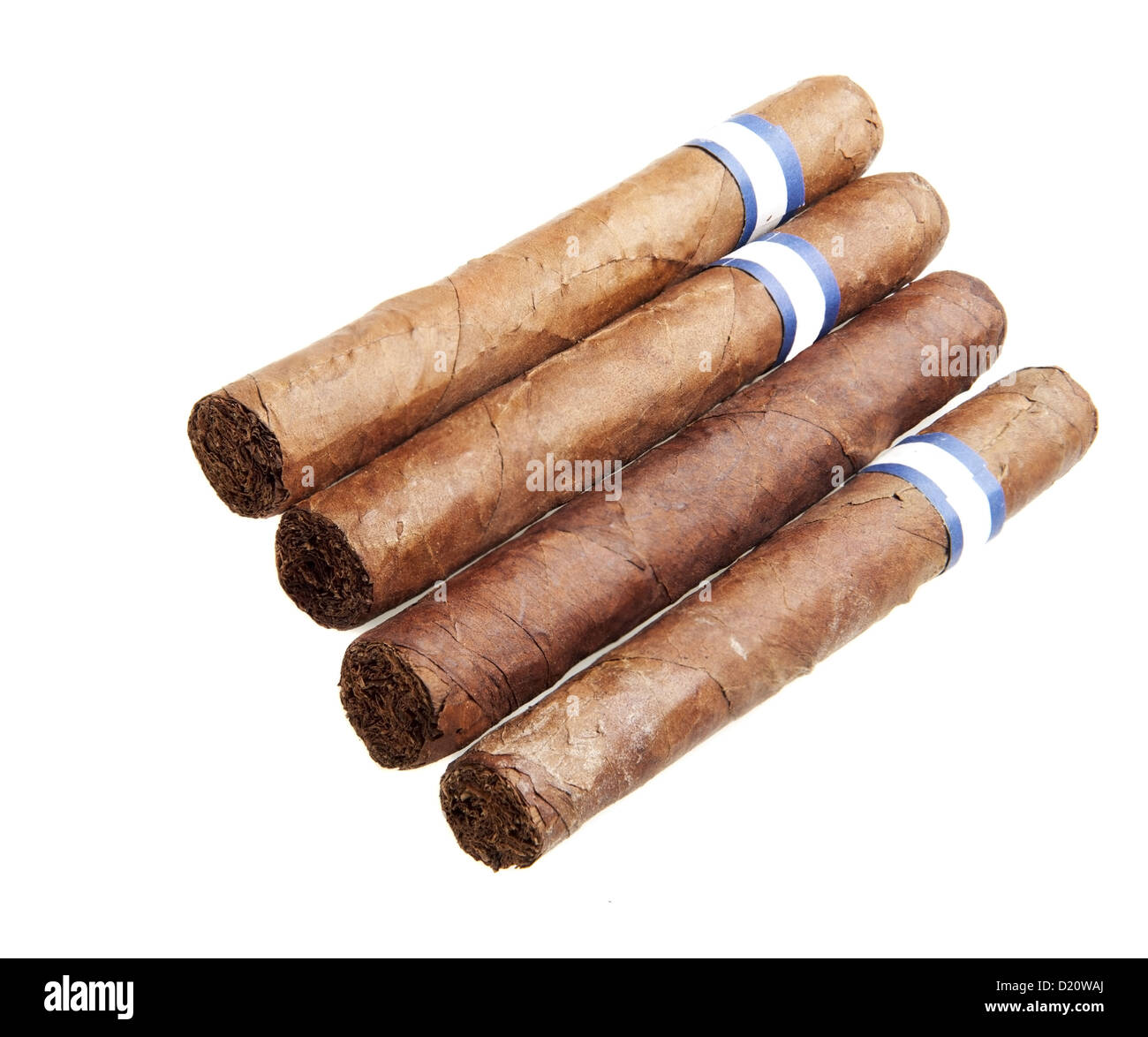 Detailfoto von Zigarren isoliert auf weißem Hintergrund Stockfoto