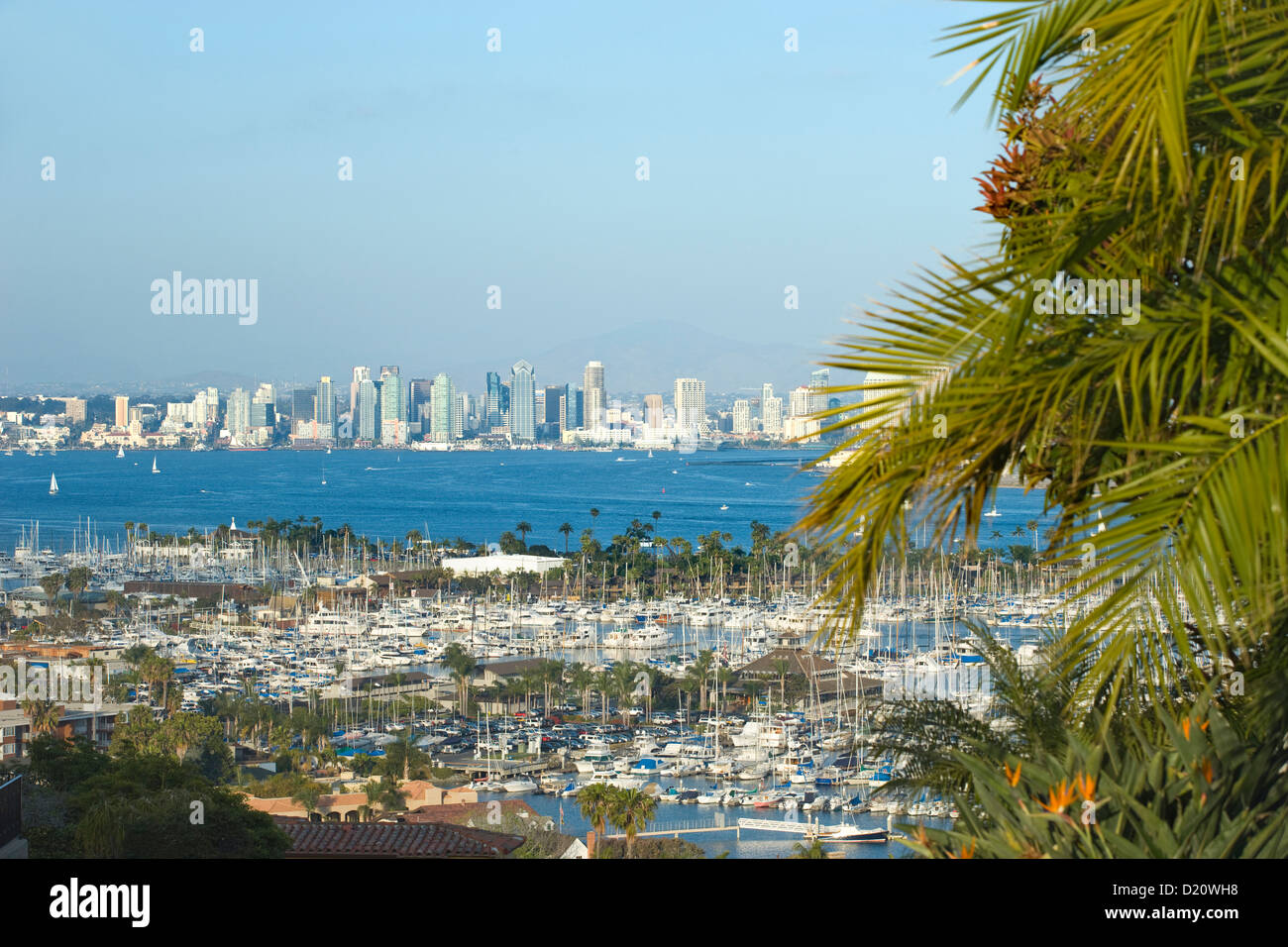 SHELTER ISLAND YACHT CLUB SAN DIEGO SKYLINE KALIFORNIEN USA Stockfoto